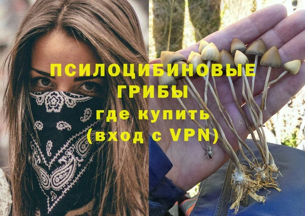 мет Богородск