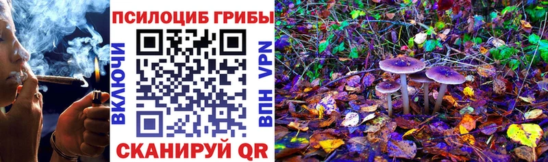 MEGA tor  Улан-Удэ  Псилоцибиновые грибы GOLDEN TEACHER 