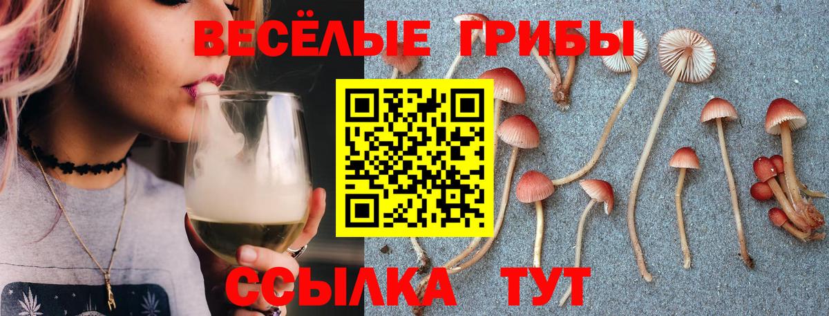 Псилоцибиновые грибы мухоморы  Вход с VPN  Псилоцибиновые грибы ЛСД  даркнет сайт  Улан-Удэ 